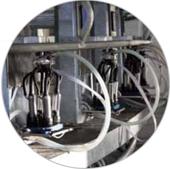 Tygon Phthalate TRANSFLOW M 34 R 